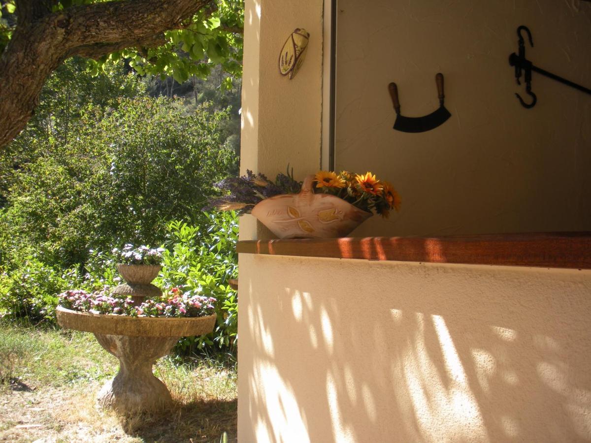 Bed and Breakfast Lou Mas Dau Paigran Saint-Blaise  Zewnętrze zdjęcie